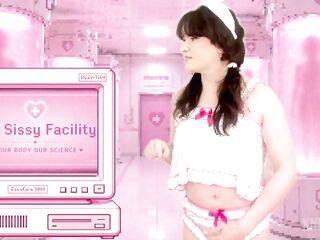 Sissy Terms and Conditions