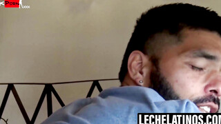 Latino Lovers Fiesta A Bearded Dream Come True