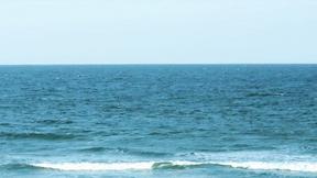 ”TUSHY Perfect Tush for an All-Day Push! ft. Little Caprice”