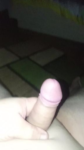 Stroking my dick while wife aleeps
