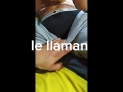 LATINA RECIBE LLAMADA MIENTRAS YO LE COMO EL COÑO