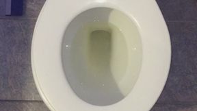 I PEE GOLD IN MY TOILET TOUCHDOWN TELEGRAM