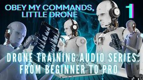 The NLP toolbox: Drone Training Audio Series From Beginner to Pro - Obey My Commands, Little Drone