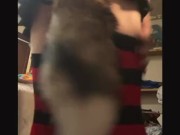 Sky Foxy shows off his tight hole on live stream and fucks it with tail plug