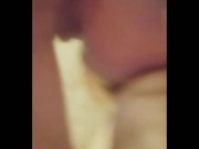 swift throat