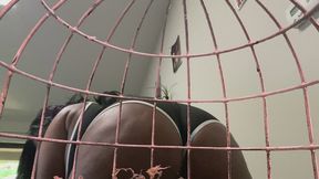 Giantess Ass Tease Through the Cage POV 4k
