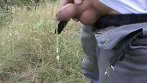 Busty MILF licked and fucked in parking lot