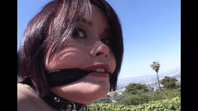 Kaci Starr takes a big hard cock in her little ass