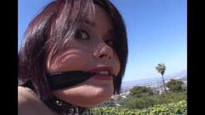 Kaci Starr takes a big hard cock in her little ass