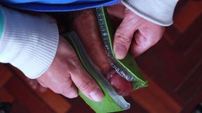 Using Aloe Vera as a Fleshlight