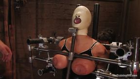 The Training of Trina Michaels Day 3