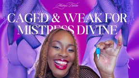 CAGED & WEAK FOR MISTRESS DIVINE