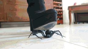 Dance of Power Under Boots WMV (1920x1080) FHD