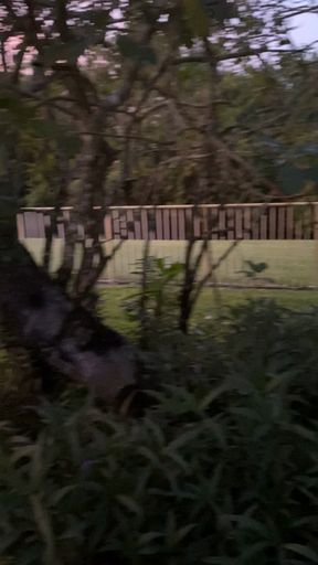 Outdoors Camo masturbating fun!!!