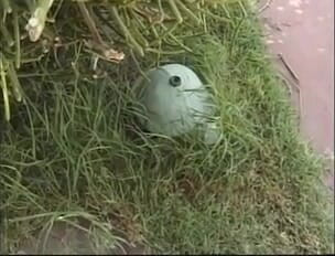 Lesbian pussy licking in the garden