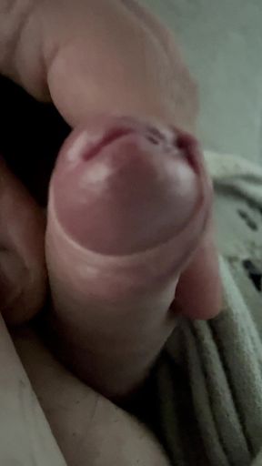 Came Twice and Just on the Carpet