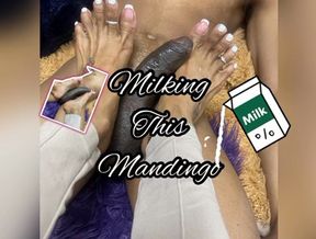 Milking A Mandingo