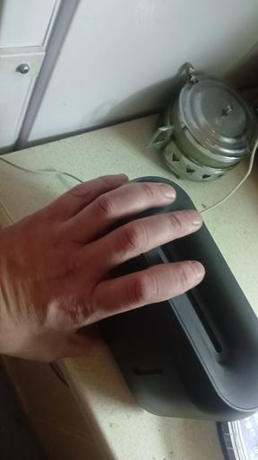 Single's domestic behavior on a small co not com