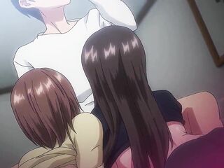3p HAREM