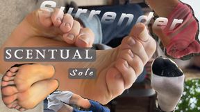 Scentual Sole Surrender