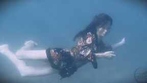 Wetlook Ocean SAMPLE – Full Clip on Zura Underwater Store (see link on my page)
