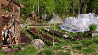 Couple making love in the garden - RosenlundX - 4K