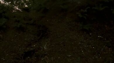 Panting forest ecstasy fuels urgent, kinky cock and pussy plays