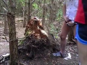 Bareback Blowjob in the Forest with Big Cocks