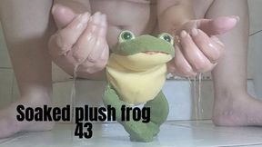 Soaked plush frog 43