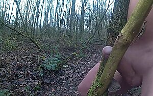 Forest Handjob