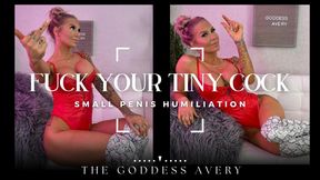 Fuck your tiny gross cock | SPH FEMDOM