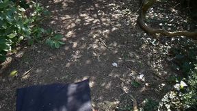BJ in Park with Cum Walk