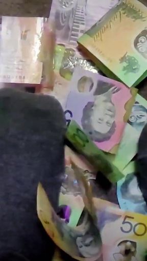 Findemon - Episode 2 - Kneel or Rot - Findom.mp4