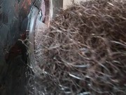 Daddy Tyler1700 and Hung Ginger (Fuzzylilbro) take turns breeding and feeding me