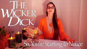 So, You're Starting to Notice (1080) - Obey Lady Ashley - The Wicker Dick - FemDom Upskirt Crossed Legs Fetish