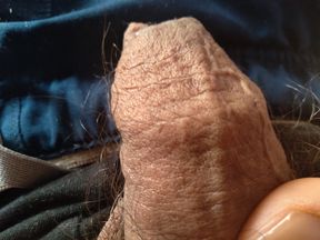 big delicious penis to suck