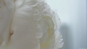 Whiteboy Affirmations + Humiliating Truth - Reverb w Music
