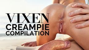 Compilation of the most lustful vixens cum-quenching their wildest fantasies.