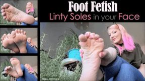 Foot Fetish Linty Soles in your Face - mp4