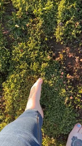 Clean toes picking grass