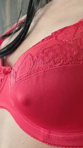 D Cup Red Lace Big Bra