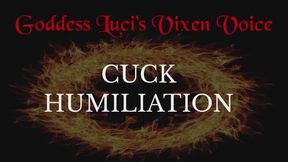 Cuck Humiliation