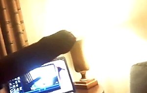 Soda gets room service