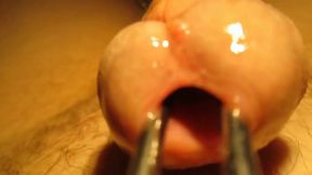 Urethral sounding and stretching with cumshot