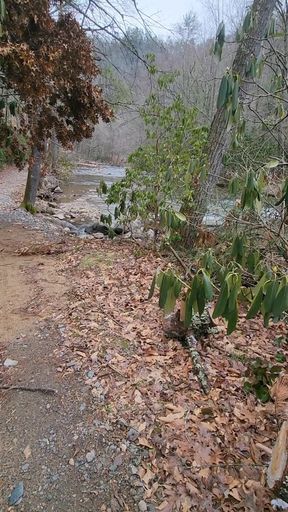 Cold Hike and Cum.