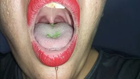 Red Lips and Popping Candy – Tongue, Uvula, and Drool