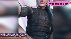 Splendid tgirl with large ebony prick live