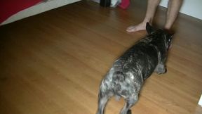 salope style minet se fait doser par un mec masque car hetero avec une grsose...