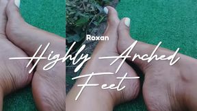 Dazzling with its pronounced arches (3)