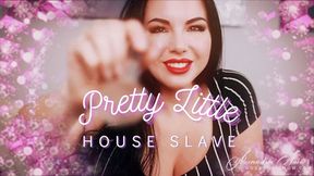 Pretty Little House Slave